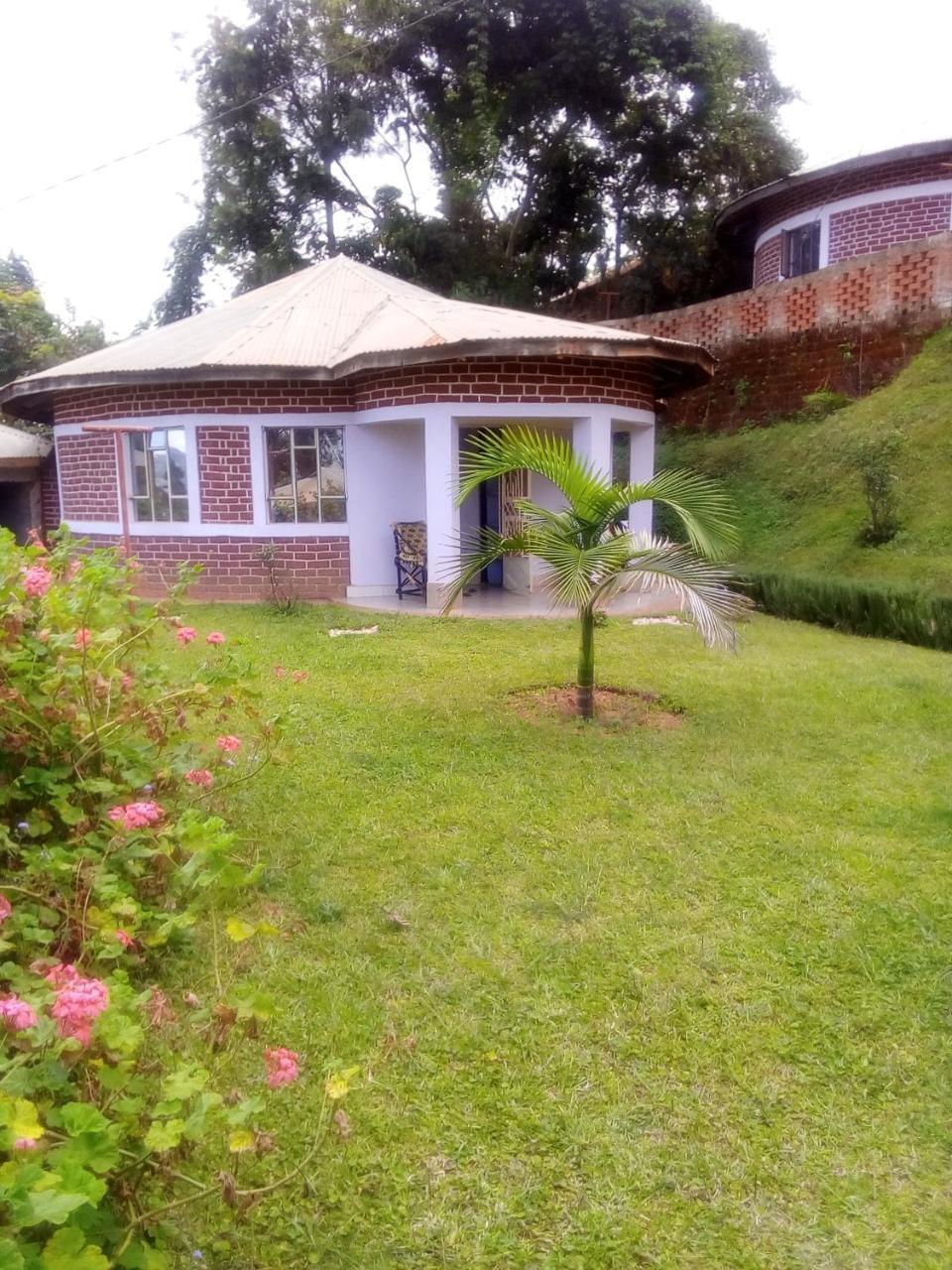 Misonge Cottage Lushoto Exterior photo